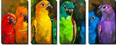 Модульная картина Попугаи №4