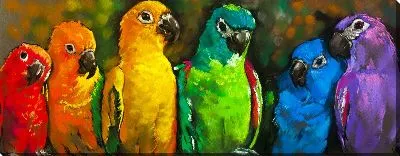 Картина маслом Попугаи №4