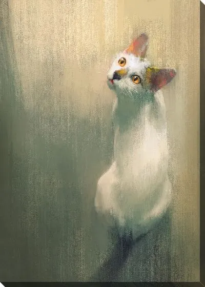 Постер Кошка