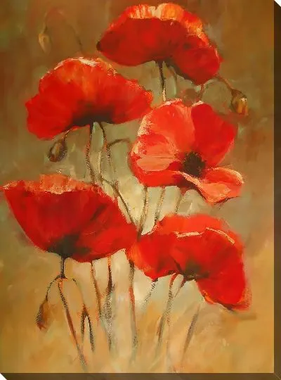 Картина маслом Маки №21