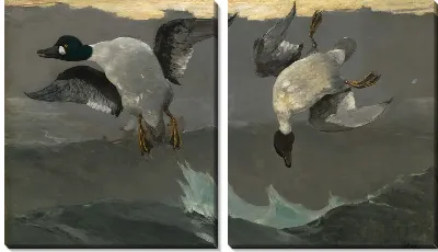 Модульная картина Утки