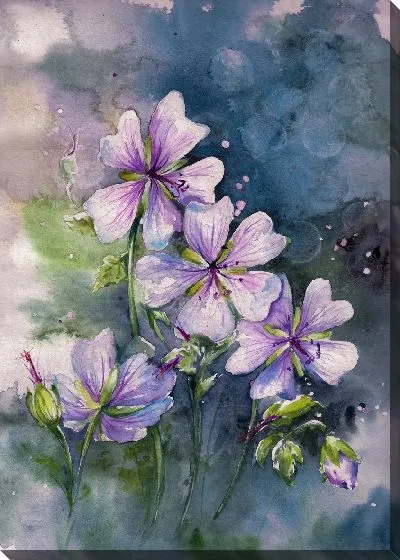 Постер Герань №3