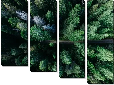 Модульная картина Дорога среди деревьев