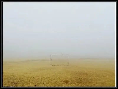 Ворота в поле