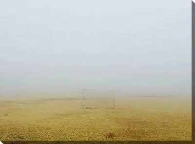 Ворота в поле