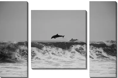 Модульная картина Дельфины в воде