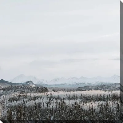 Постер Снежная долина