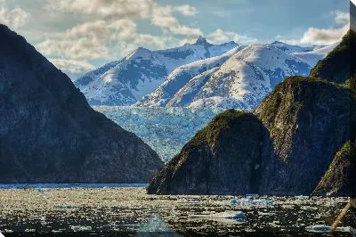 Постер Льдины на воде