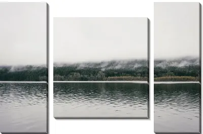 Модульная картина Лес №45