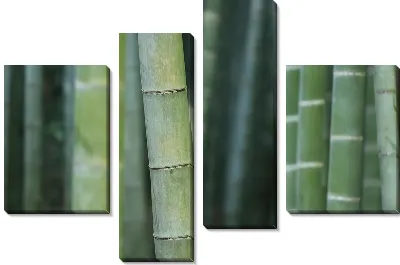 Модульная картина Бамбук №4
