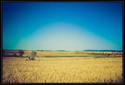 Картина Трактор в поле №2