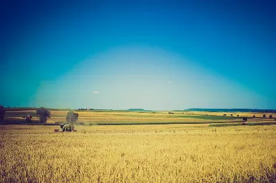 шаблон id 38