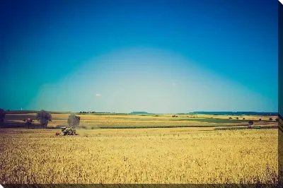 Трактор в поле №2