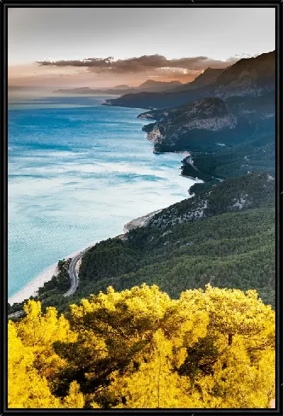 картина