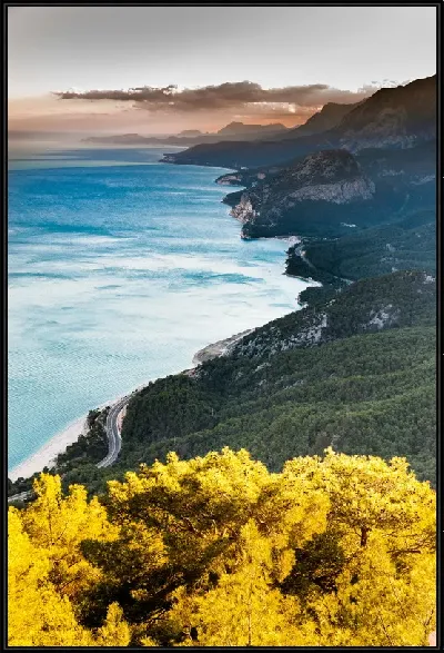 картина