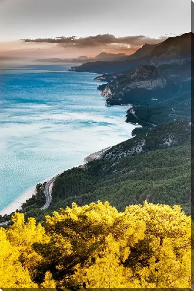 картина