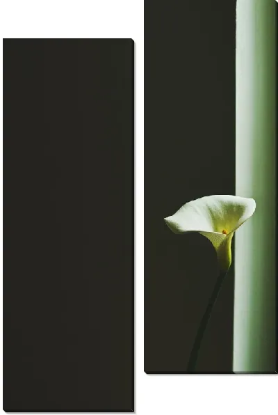 Модульная картина Калла №2