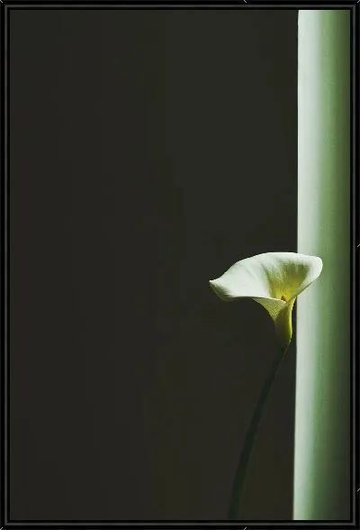 Картина Калла №2