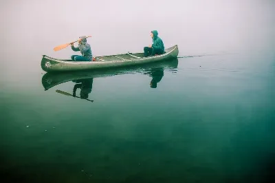 шаблон id 38