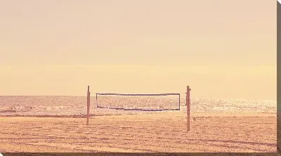 Постер Волейбольная сетка