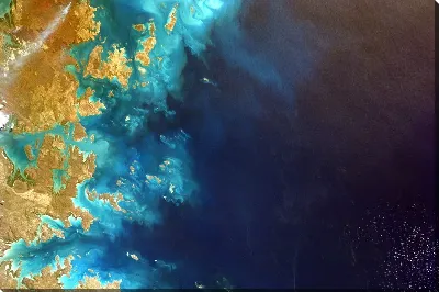 картина