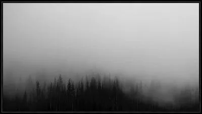 Картина Туман над лесом