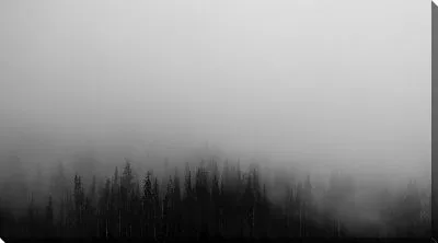 Постер Туман над лесом