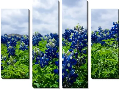 Модульная картина Васильки