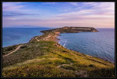 картина