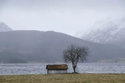 Плакат Домик у дерева