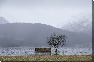 Постер Домик у дерева