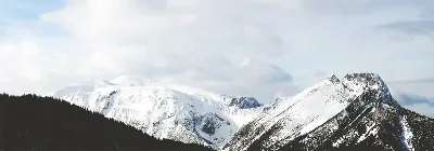 шаблон id 43
