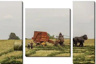 Модульная картина Работа в поле