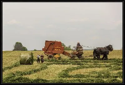 Картина Работа в поле
