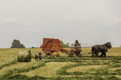 шаблон id 38