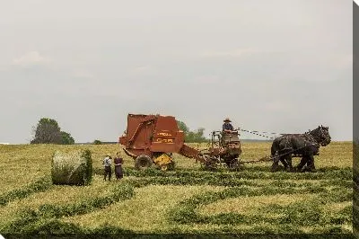 Постер Работа в поле