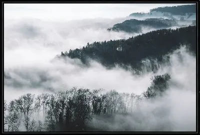 Туман над лесом №2