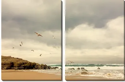 Модульная картина Полет чаек