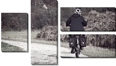 Модульная картина Прогулка на велосипеде