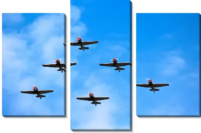 Модульная картина Полет самолетов