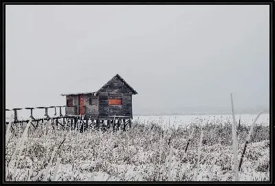 Картина Зимний дом