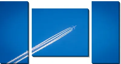 Модульная картина След от полета