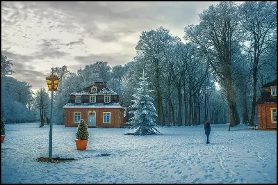 картина