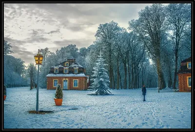 картина
