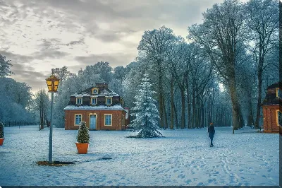 картина
