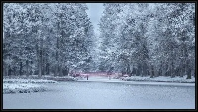 Картина Цветной мост