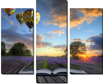 Воздушные шары и книга