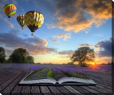 Воздушные шары и книга