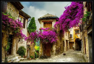 картина