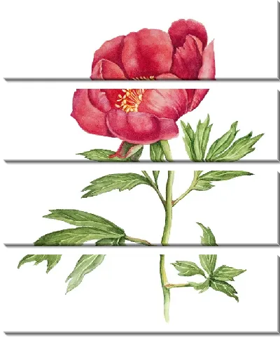 Модульная картина Пион акварель